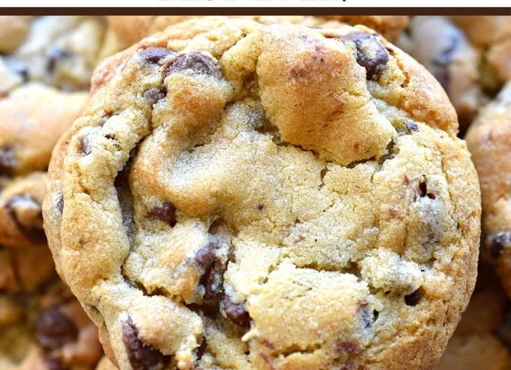 Delicious sugar free chocolate chip cookies baked to perfection